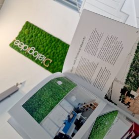 Offener Dream in green Katalog vor Mooswand